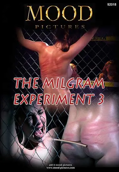 Mood: The Milgram Experiment 3 | Belrose | DVD