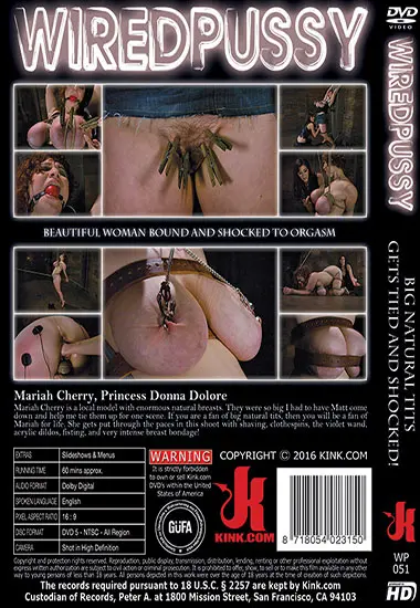 Big Natural Tits Gets Tied and Shocked! | Kink.com | DVD(back cover)
