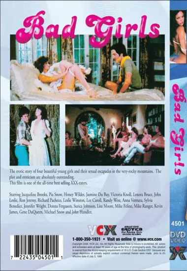 Bad Girls | VCX | DVD(back cover)