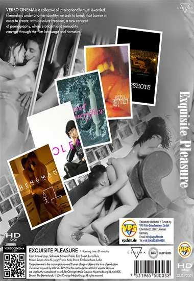 Exquisite Pleasure | VERSO CINEMA | DVD(back cover)