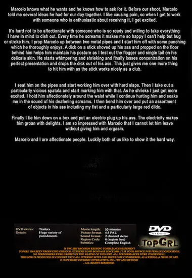 FISTED(TOPGRL) at sexvideoall.com(back cover)