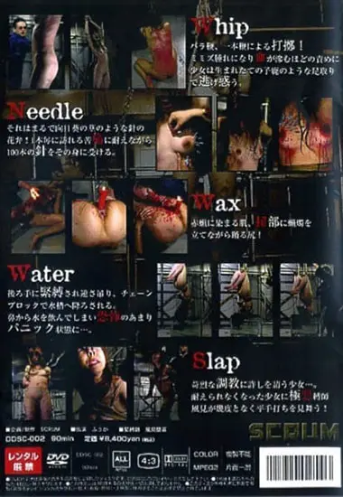 Paingate Japan 002(Pain Gate Japan) at sexvideoall.com(back cover)