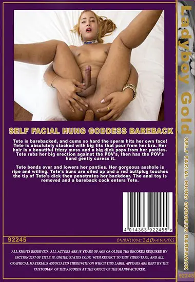Self Facial Hung Goddess Bareback(LADYBOY GOLD)(back cover)