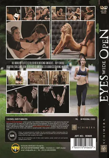 Eyes Wide Open(Porndoe) at sexvideoall.com(back cover)