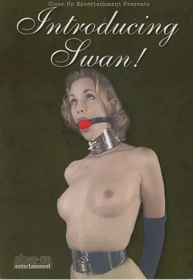 Introducing Swan | Bryan Davis | DVD