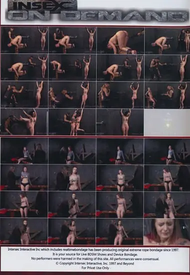 The Best Scenes 2(Paintoy) at sexvideoall.com(back cover)