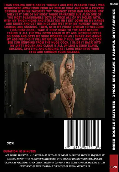 Insex - 3 Hole Sex Slave | Belrose | DVD(back cover)