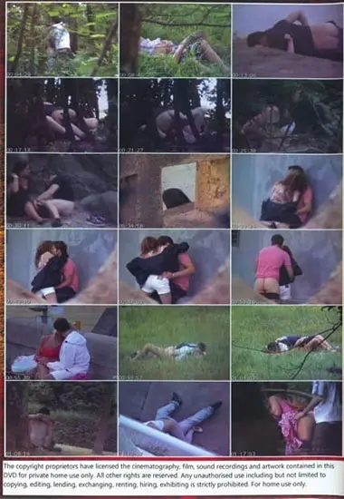 Fu10 Daywatching 7 | Real Sex in P. | DVD(back cover)