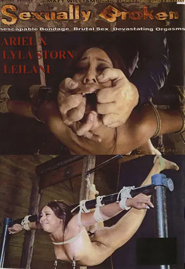 Healey - Skin Diamond | Sexually Broken | DVD(back cover)