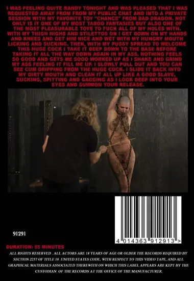 3 Hole Sex Slave | Insex | DVD(back cover)