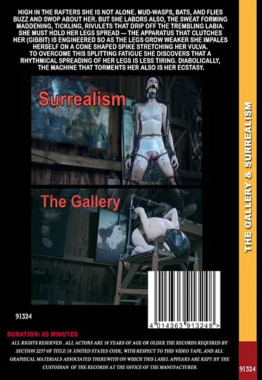 Renderfiend - Hybristophilia Parts 3 andamp; 4: The Gallery andamp; Surrealism | Belrose | DVD(back cover)