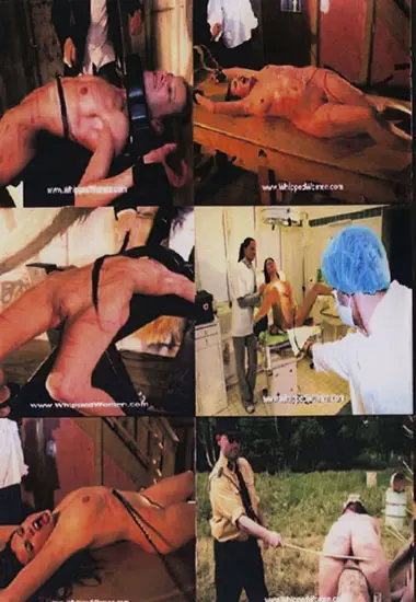 Old German lesson | Whipped Woman | DVD(back cover)
