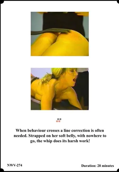 Institutional Strappings(Nu West) at sexvideoall.com(back cover)