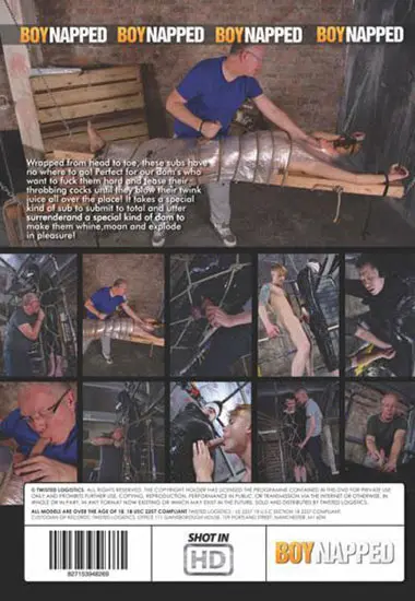 Wrapped And Jacked(BOYNAPPED) at sexvideoall.com(back cover)