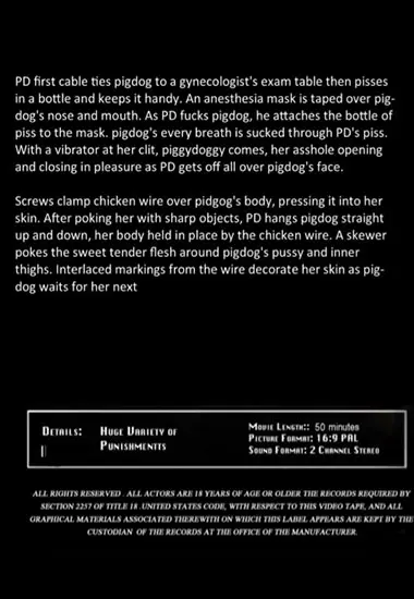 Insex Archives - Pigdogs Problems | Unknown(back cover)