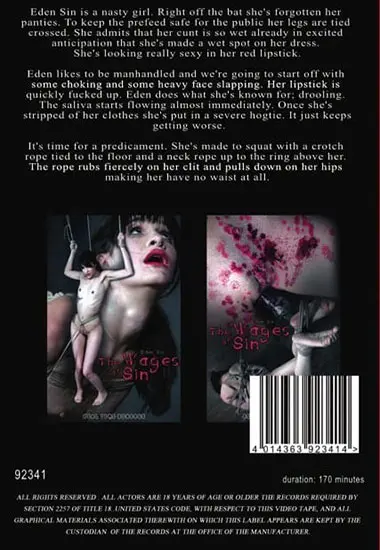The Wages Of Sin(Real Time B.) at sexvideoall.com(back cover)