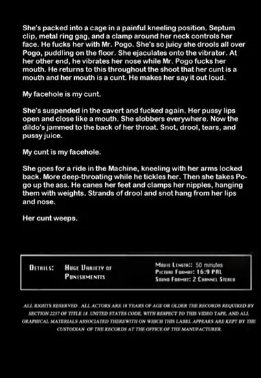 Insex Archives - Cunt Hole(Insex) at sexvideoall.com(back cover)