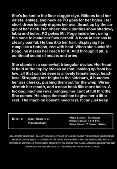 Insex Archives - Frame Bitch(Insex) at sexvideoall.com(back cover)
