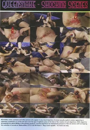 Shocking Scenes 22 | Unknown(back cover)