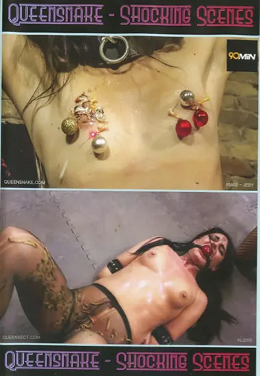 Shocking Scenes 23(Unknown) at sexvideoall.com