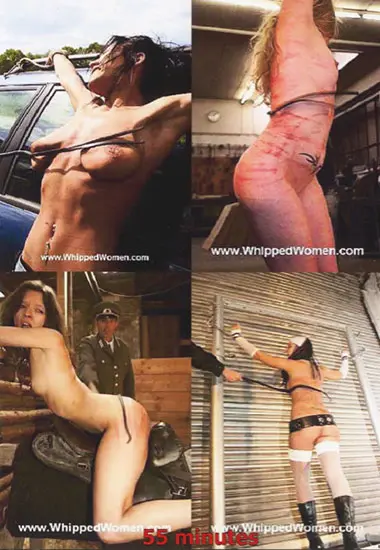 Stable Work(Unknown) at sexvideoall.com(back cover)