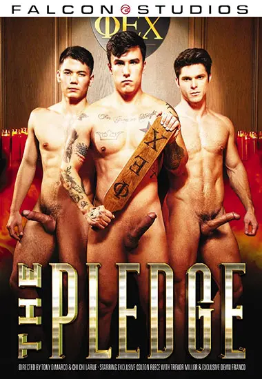 FALCON / The Pledge | Unknown