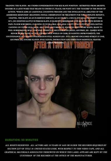 Docere Slavex(Sensual Pain) at sexvideoall.com(back cover)