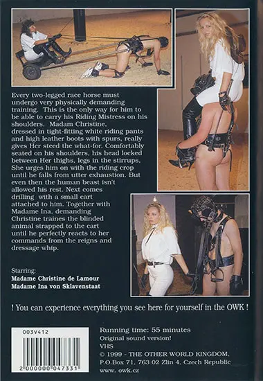 OWK - Ponyboys 4 | Unknown(back cover)