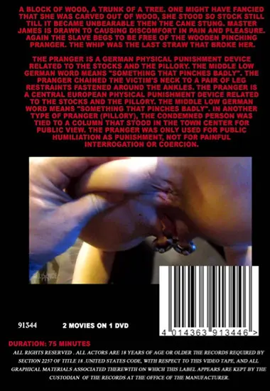 Ladies Prangers andamp; Postulating Pain(Insex)(back cover)