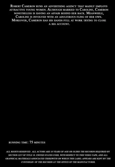 Young Secretaries(Alpha Blue Archives) at sexvideoall.com(back cover)