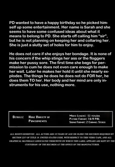 Birthday Sex | Insex(back cover)