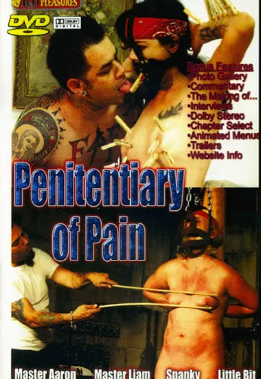 Penitentiary of Pain | Unknown