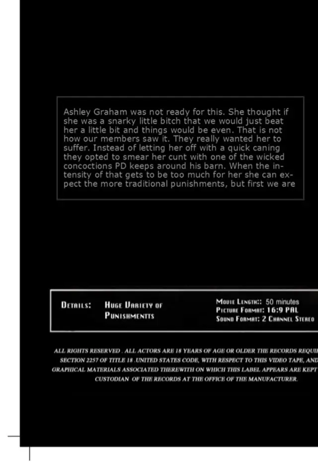 The Angst Of Ashley 1 | Insex | DVD(back cover)