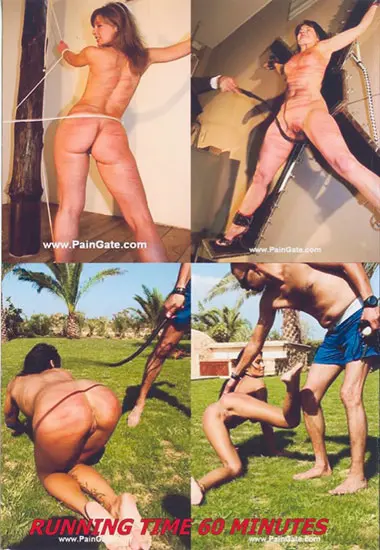 Dog Trainin | Paingate(back cover)