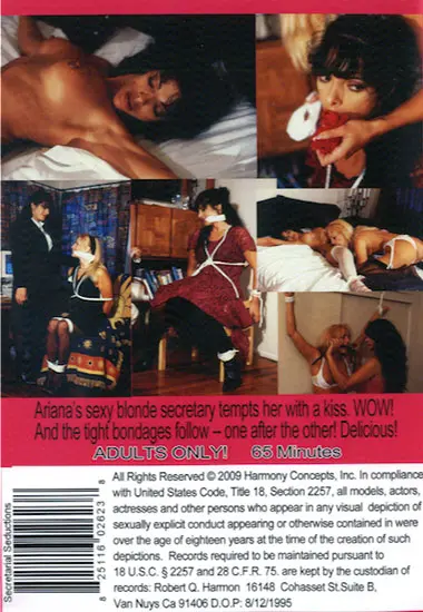 Secretarial Seductions | Unknown(back cover)