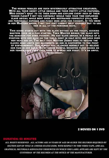 Dolcett Terrified(Sensual Pain) at sexvideoall.com(back cover)