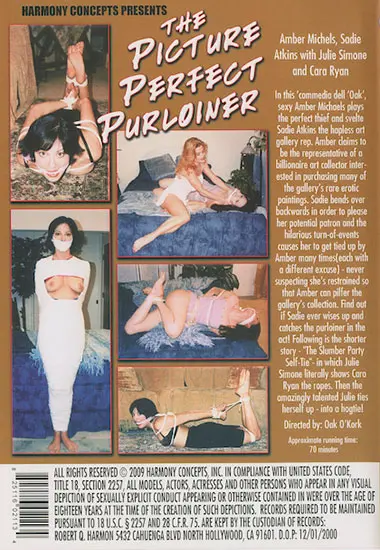 The Picture Perfect Purloiner | Unknown(back cover)