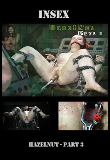 Hazelnut Part 3 | Insex