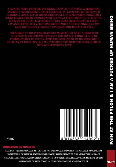 Sensual Pain - Pain At The Pylon andamp; I Am A Fucked Up Human Being | Belrose | DVD(back cover)