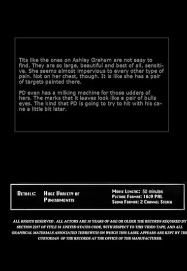 The Angst of Ashley Part 3 | Insex | DVD(back cover)