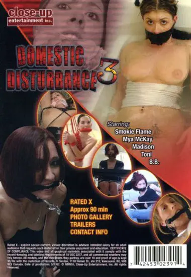 Domestic Disturbance Part 3 | Unknown(back cover)