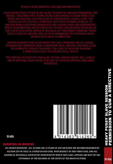 Heavy Pussy Slave Session / Permission To Cum A Directive | Belrose | DVD(back cover)