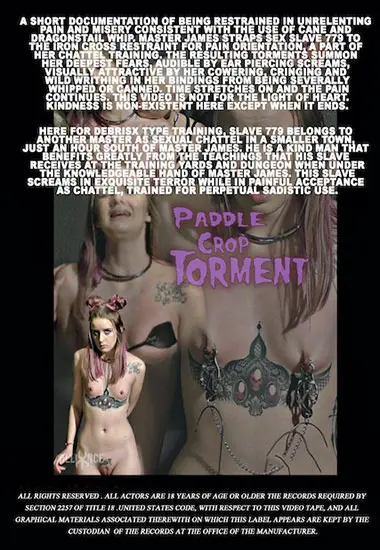 Restraint andamp; Cane and the Dragontail(Sensual Pain)(back cover)