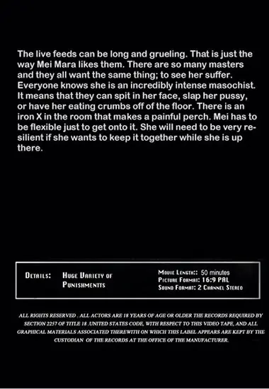 Mei I Please you(Insex) at sexvideoall.com(back cover)