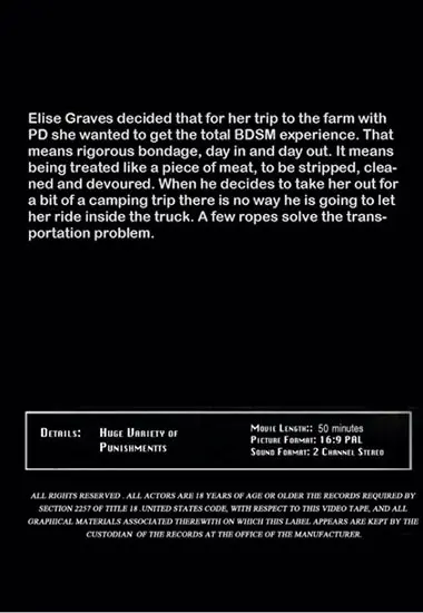 Campfire Stories(Insex) at sexvideoall.com(back cover)