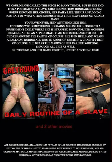 Pussy Prison | BRUTAL MASTER(back cover)