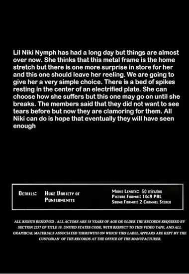 Smiles 3(Insex) at sexvideoall.com(back cover)