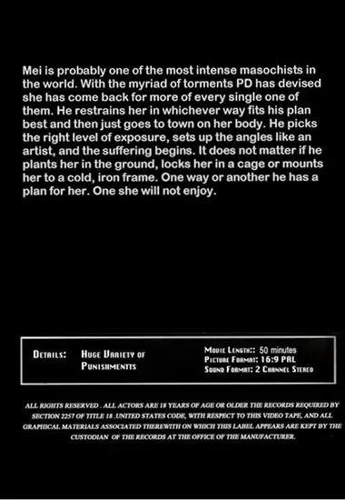 Mei I Please You Day 2(Insex) at sexvideoall.com(back cover)