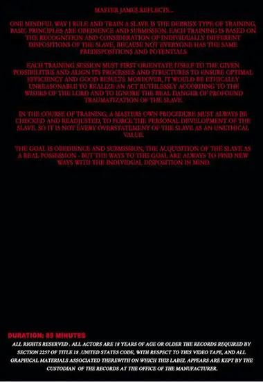 Captured Firecracker Redhead(Sensual Pain)(back cover)