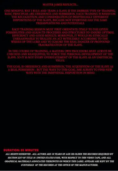 Captured Firecracker Redhead(Sensual Pain)(back cover)